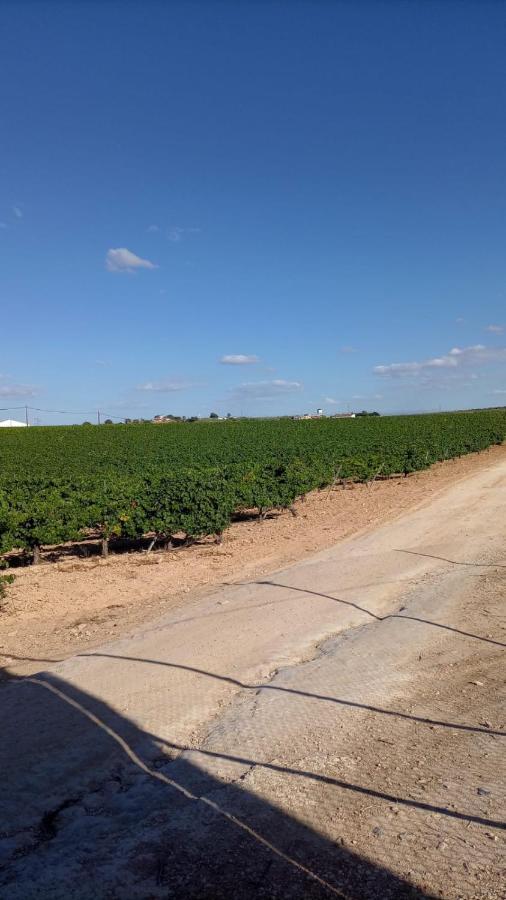 Alojamiento Rural Casa Los Arenales Córdoba Eksteriør billede